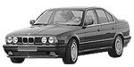 BMW E34 P2412 Fault Code